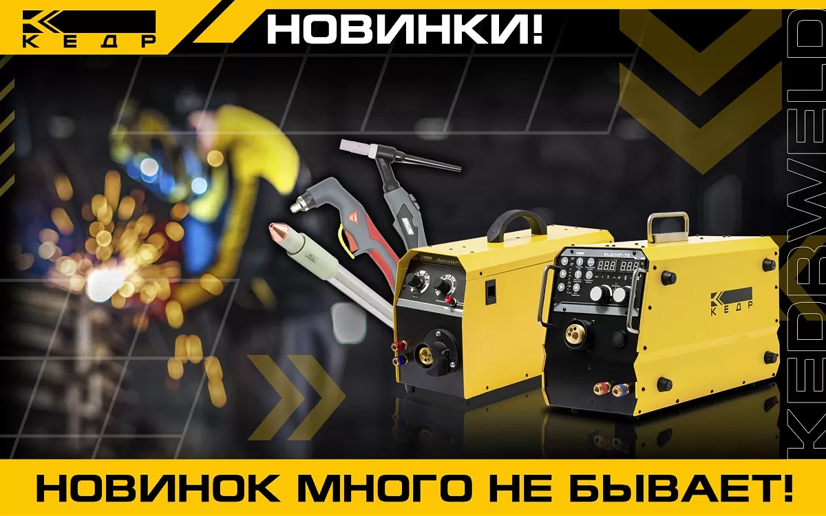 Новинок много не бывает - Кедр - 1